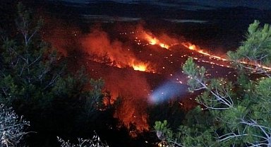 Çukurova'da çıkan orman yangınıyla mücadele sürüyor