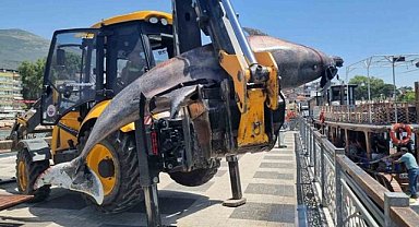 Gemlik Körfezi'nden 3 metre boyunda ölü yunus çıkarıldı