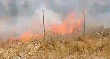 Gemlik'te tutuşan çalılar itfaiye tarafından söndürüldü