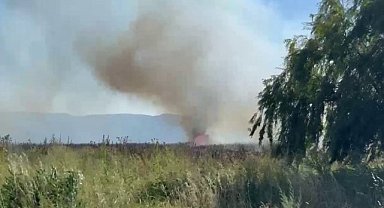 Gemlik ve İznik'te sazlık alan yangınları