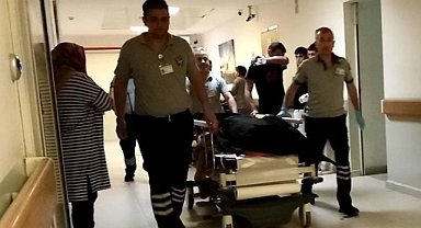 Ihlamur toplamaya çıktı, düşerek yaşamını yitirdi