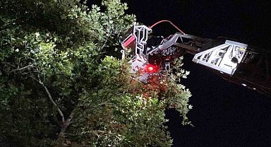 İnegöl'de yardım için parka itfaiye çağırıldı!