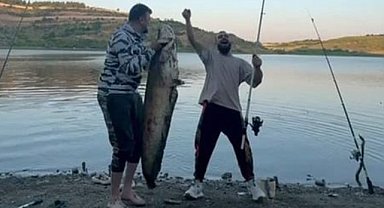 İnegöl'deki Boğazköy barajında dev yayın balığı