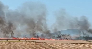 İstanbul-İzmir otobanı Karacabey geçişinde yangın