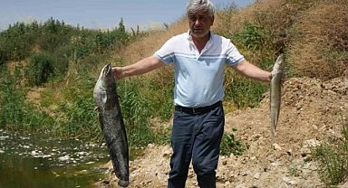 Nilüfer Çayı'ndaki kirliliğin boyutları korkutuyor