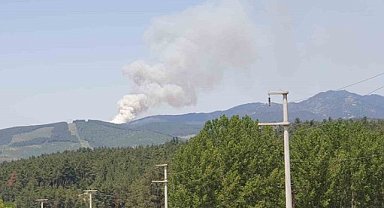 Orhaneli'deki orman yangınına müdahale başladı