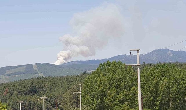 Orhaneli'deki orman yangınına müdahale başladı