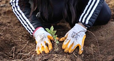 Uludağ Elektrik'ten 5 bin fidan ile yeşil dönüşüme katkı