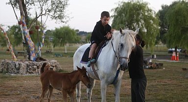 Kısır sanılan at doğurdu