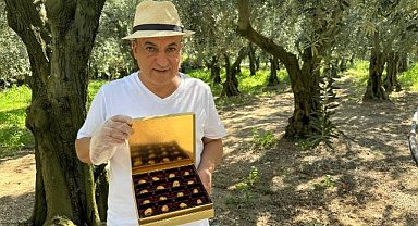 Altınla kaplanan Bursa zeytinleri zengin sofralarında