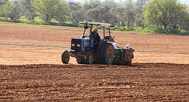 Bursa Büyükşehir Belediyesi'nden siyez buğdayı alımı