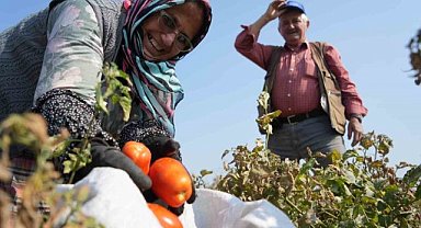 Bursalı çiftçiler için Ticaret Bakanlığı'ndan destek adımı