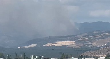 İznik'te çıkan orman yangını hızla büyüyor!