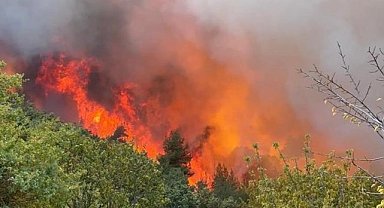 İznik'te orman yangınına müdahale 12 saatte sonuç verdi