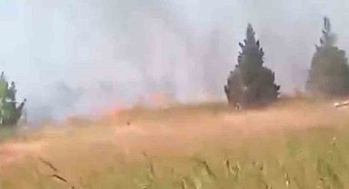 Karacabey'de otluk alanı alevler sardı