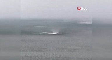 Mudanya'da bulunan erkek cesedi morga kaldırıldı