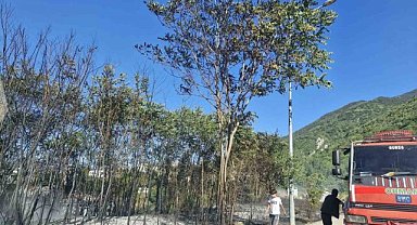 Uludağ'ın eteklerinde çıkan yangın söndürüldü