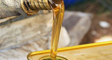 Arıların Gizemli İşçiliği: Çam Balının Doğuşu