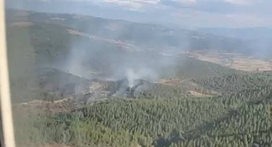 Bursa'da korkutan orman yangını