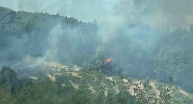 Bursa'da orman yangınına havadan ve karadan müdahale