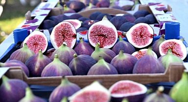 Bursa siyah inciri tatlıları MasterChef Türkiye’de yarıştı