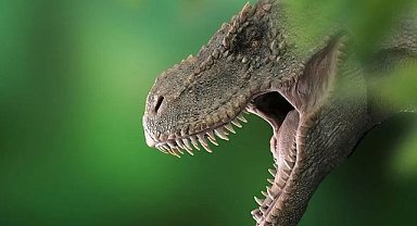 Dinozorlar Dönemi: Dünya Nasıl Bir Yerdi?