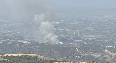 İzmir ile Muğla'da orman yangınları!