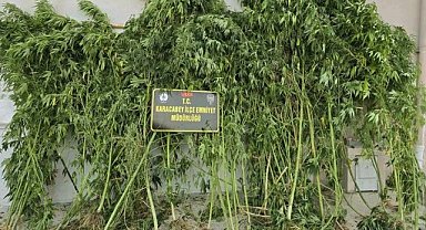 Karacabey'de polisten uyuşturucu baskını: 1 tutuklama