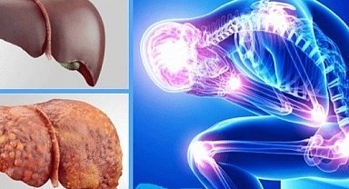 Karaciğer Bağışı: Karaciğer kendini yeniler mi?