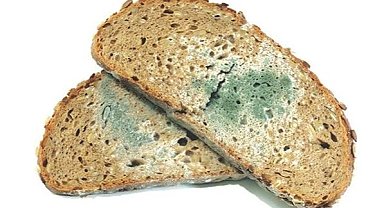 Küflü Ekmek Yemek Tehlikeli mi? İşte Uzmanların Cevabı!
