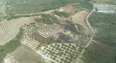 Mudanya'daki orman yangınında soğutma çalışmaları başladı