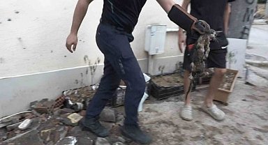 Osmangazi'deki kedi için 7 saat sonunda mutlu son