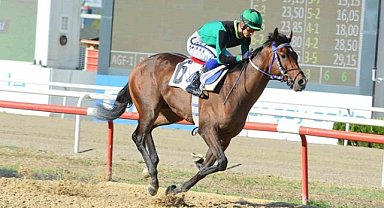 Osmangazi Hipodromu’ndaki yarışı Prens Levent kazandı