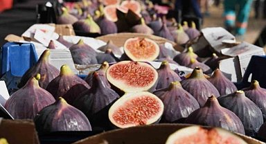 Osmangazi Siyah İncir Festivali'nde etkinlikler düzenlendi