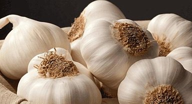 Sarımsağın Mucizevi Gücü: Sağlığınıza Katkıları