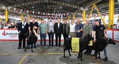 İnegöl'deki festivalde koçlar ve tavuklar yarışması
