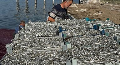 İznik Gölü'nden tek seferde 5 ton balık!