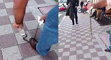 Karacabey'de kahvehaneye giren yılan vatandaşları korkuttu