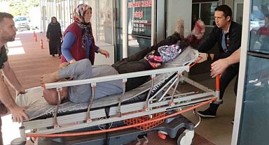 Orhangazi'de odun kesen adam hastanelik oldu