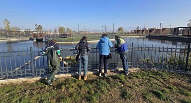 Bursa'daki gölette temizlik çalışması başlatıldı