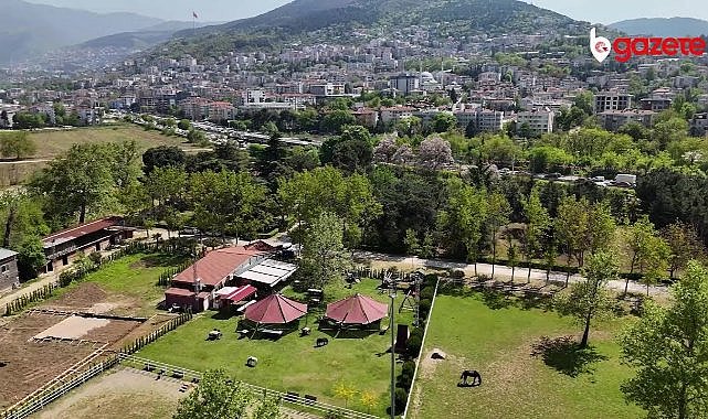 Karayel Binicilik’te Atlarla Terapi Gibi Bir Gün
