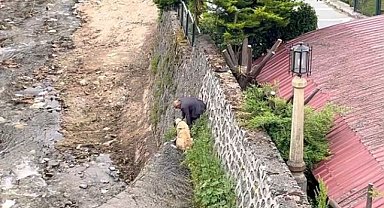 Bursa'da dere yatağındaki 2 Kangal köpeği kurtarıldı