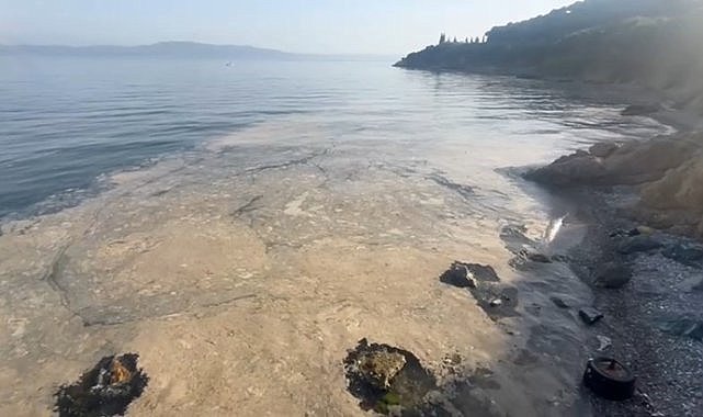 Gemlik Körfezi'ni yine müsilaj kapladı
