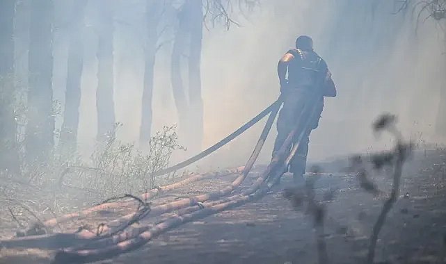 Orman yangınlarının yüzde 90'ı insan kaynaklı
