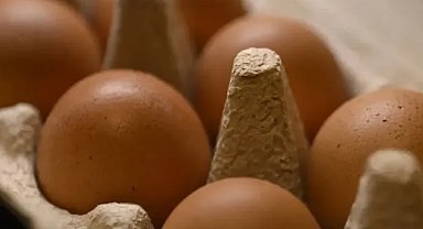 Sofralık yumurta ihracatı fon kesintisi kaldırıldı