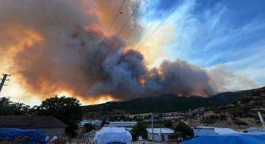 Alevler çiftlikleri tehdit etti, hayvanlar kurtarıldı