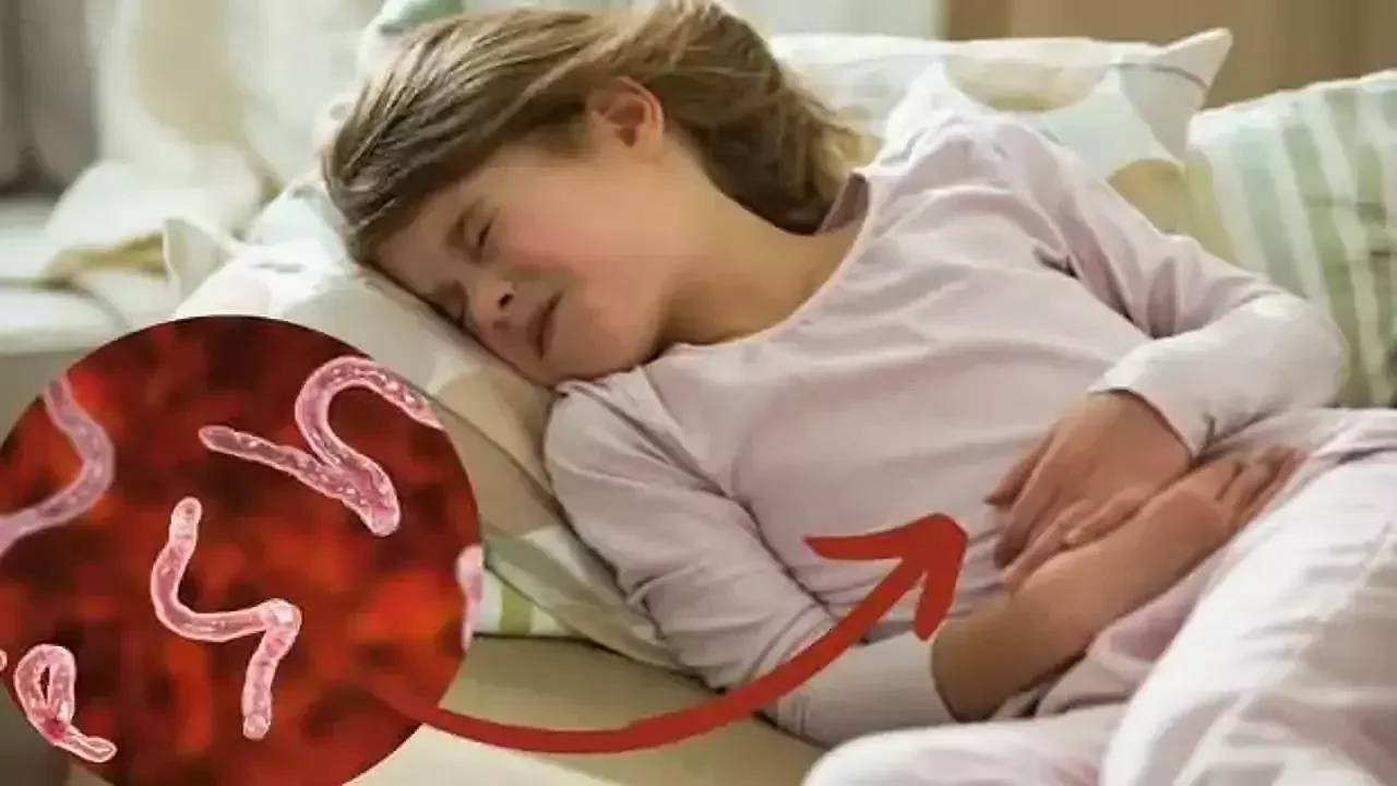 Anneler, kıl kurduna dikkat!