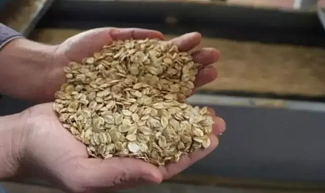 Bursa Büyükşehirin aşı ve yem desteği başvuruları başladı