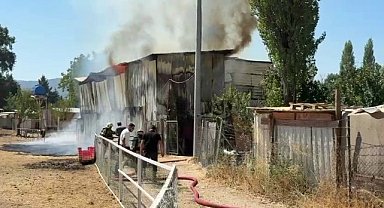 Bursa’da hayvan damı yandı: 1 at, 2 keçi telef oldu