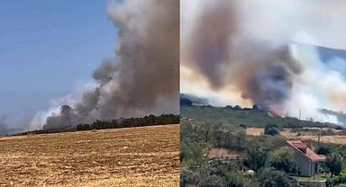 Bursa’da orman yangını, çok sayıda ekip müdahale ediyor